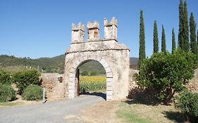 Vignamurata